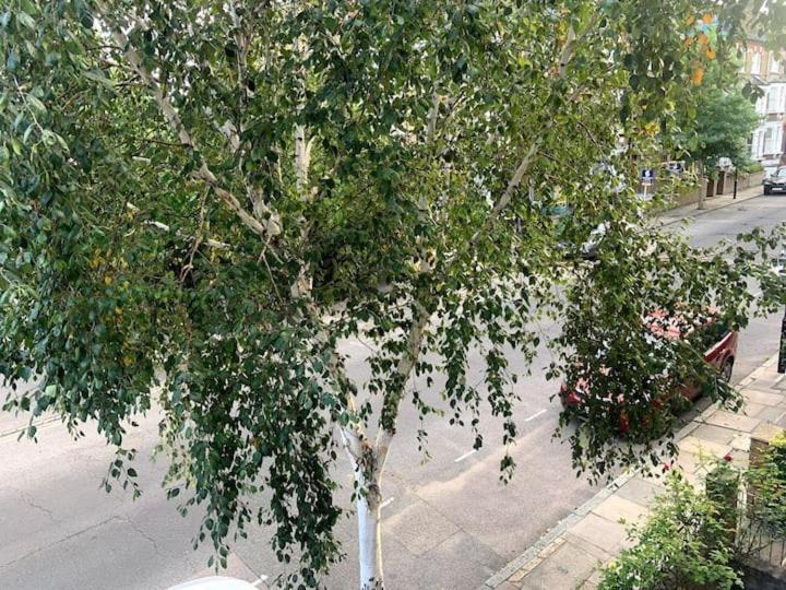 Lovely Spacious 1-Bedroom Flat In Tufnell Park Close To Central لندن المظهر الخارجي الصورة